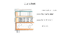 Querschnitt