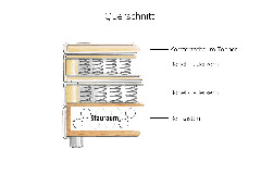 Querschnitt