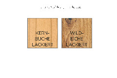 Ausführungsbild Tischplatte