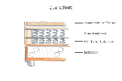 Querschnitt