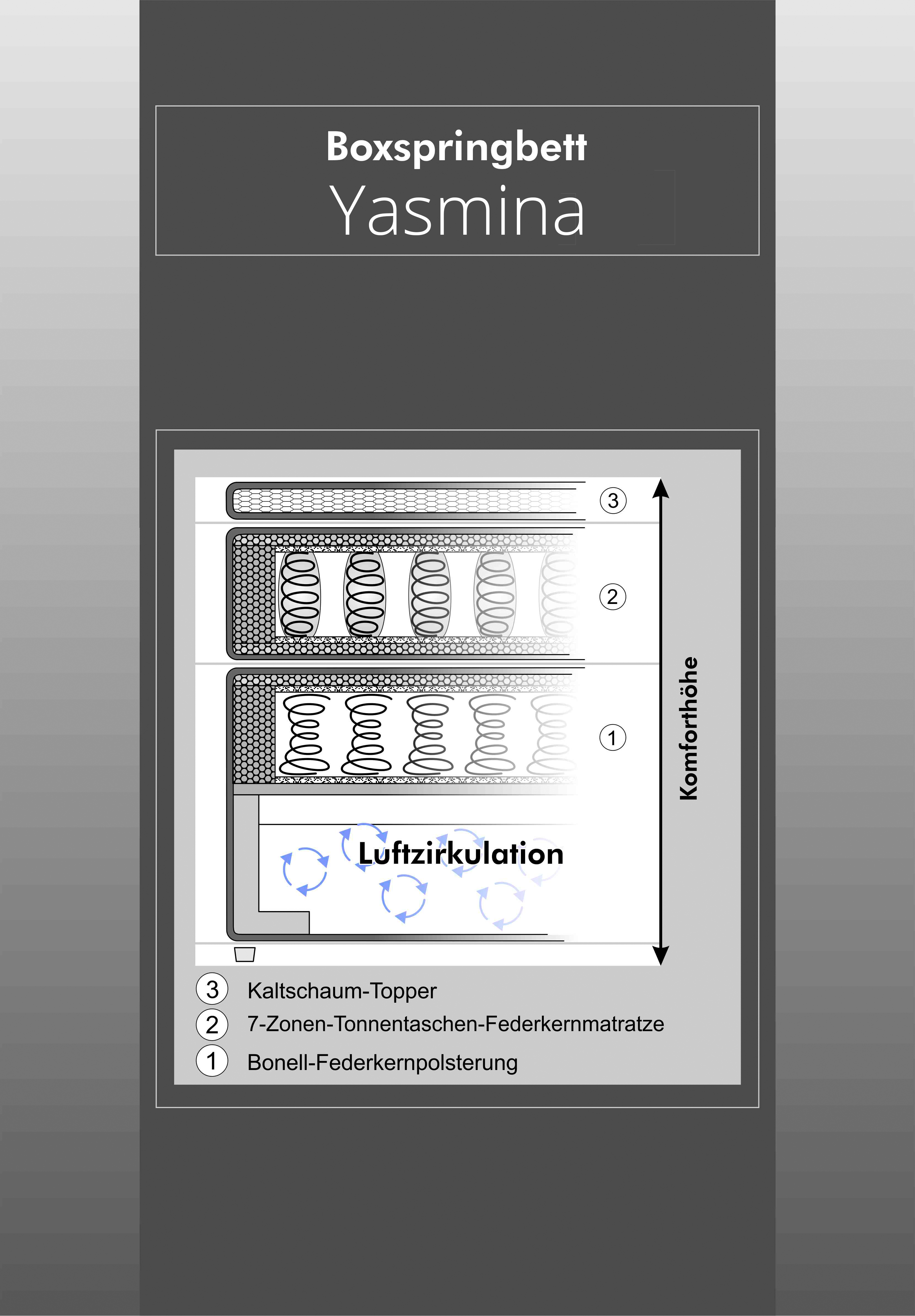 Querschnitt Yasmina