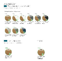 ausführung