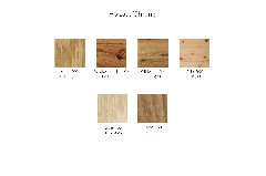 Holzarten