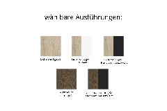 Ausführungen