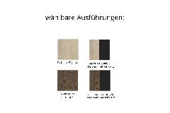 Ausführungsbild