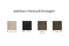 Ausführungen