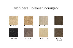 Ausführungen