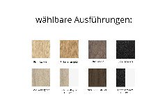 Ausführungen