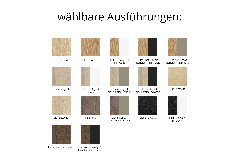 Ausführungen