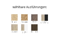 Ausführungen