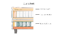 Querschnitt
