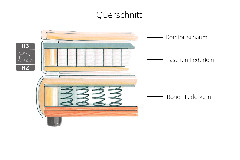 Querschnitt