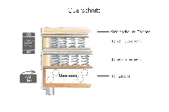 Querschnitt