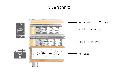 Querschnitt