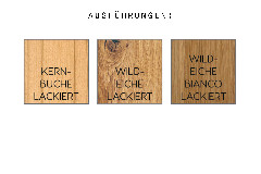 Ausführungsbild