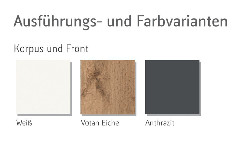 Ausführungen