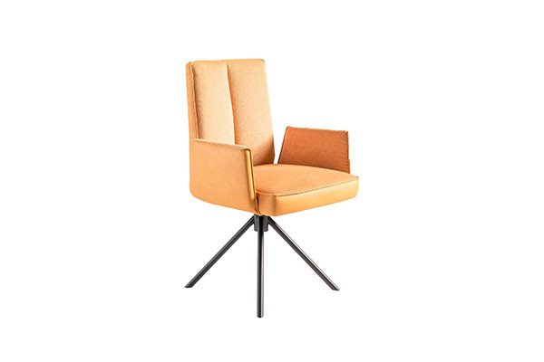 Stühle für Esszimmer und Küche | Möbel Letz - Ihr Online-Shop