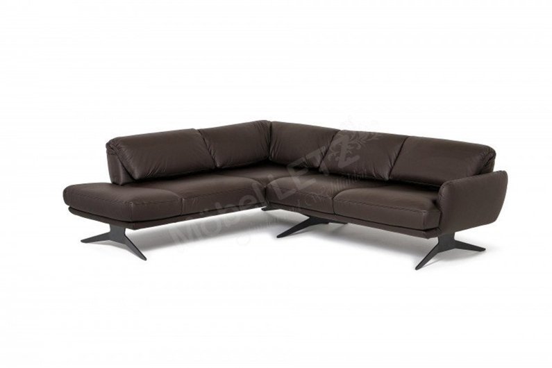 Entdecken Sie ADA Mindful Living Euphorbia ADA Mindful Living Euphorbia