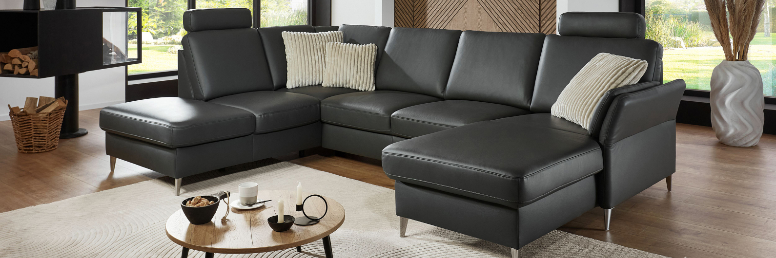 Polinova Modell&uuml;bersicht