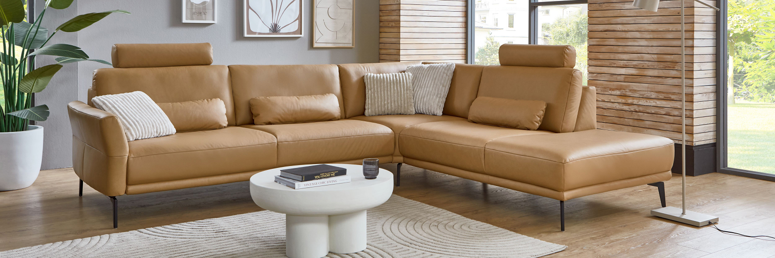 Polinova Modellübersicht