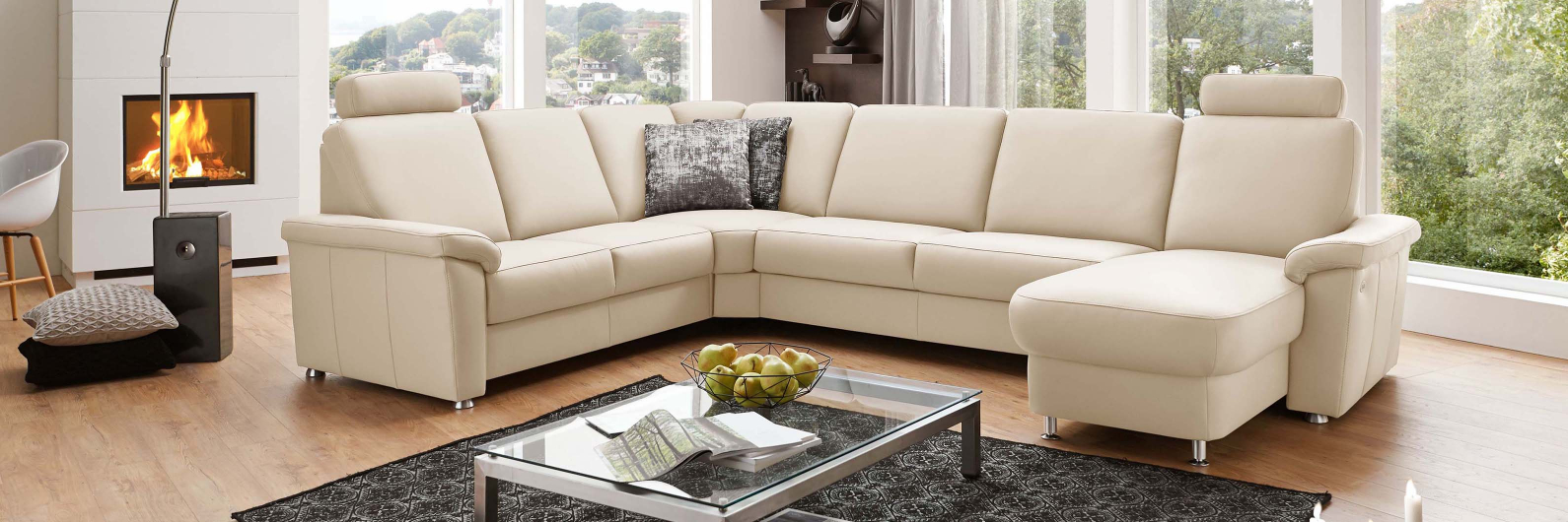 Polinova Modell&uuml;bersicht