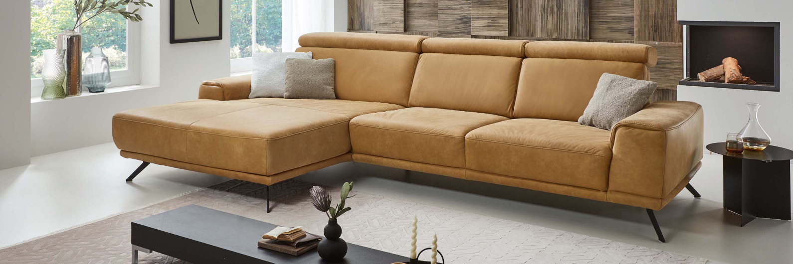 Polinova Modell&uuml;bersicht