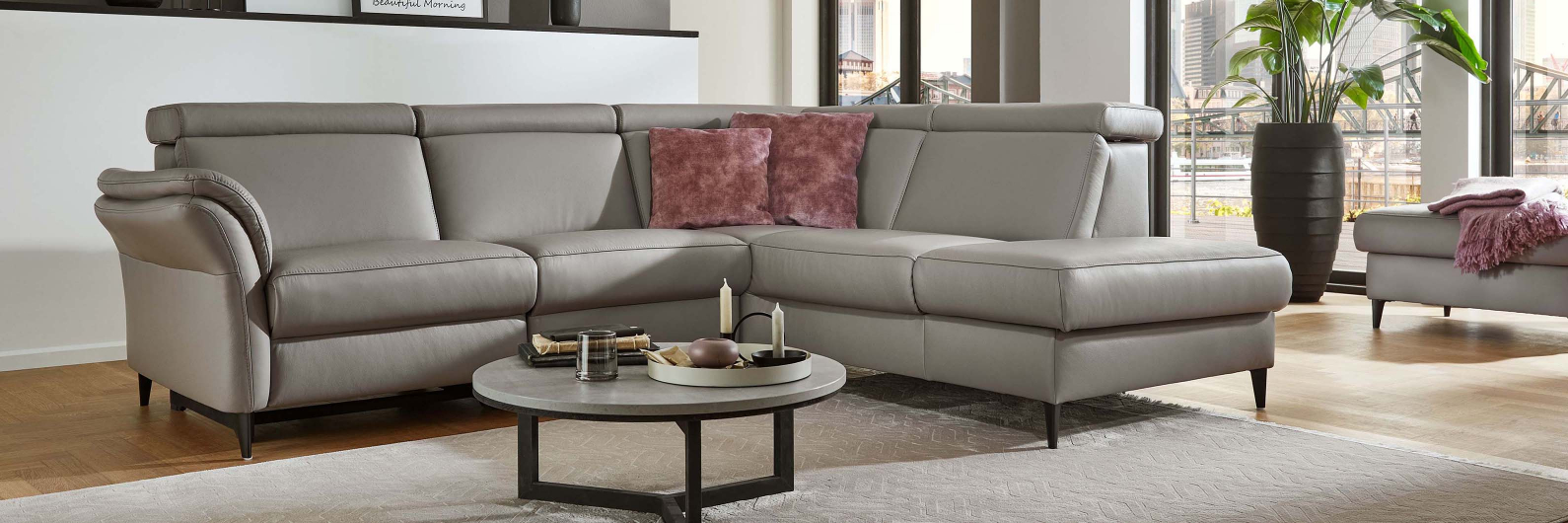 Polinova Modell&uuml;bersicht