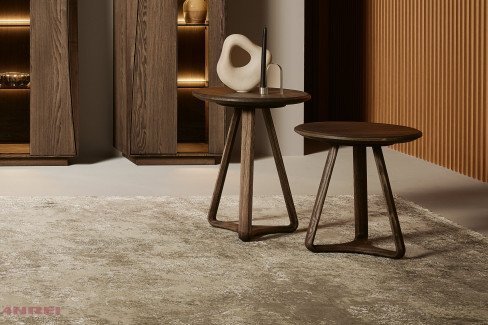 Entdecken Sie ANREI BT 30 ANREI BT 30