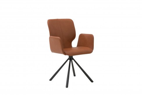 bert plantagie Mister T