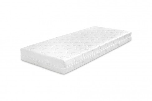 Entdecken Sie Ahorn Aloe Ahorn Aloe