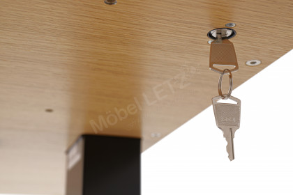 T8 L Exclusive von moll - Kreativtisch mit furnierter Eichenplatte