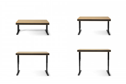 T8 L Exclusive von moll - Kreativtisch mit furnierter Eichenplatte
