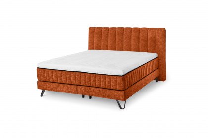 Baldwin von set one by Musterring - Boxspringbett 180 KTB orange