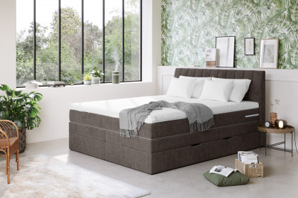 Shark von COTTA - Boxspringbett brown