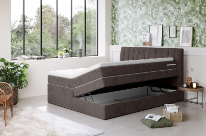 Shark von COTTA - Boxspringbett brown
