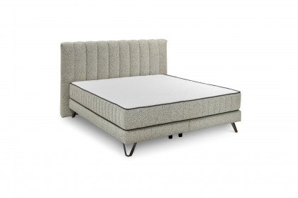 Baldwin von set one by Musterring - Boxspringbett 180 KTB mixed-grey