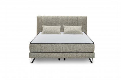 Baldwin von set one by Musterring - Boxspringbett 180 KTB mixed-grey
