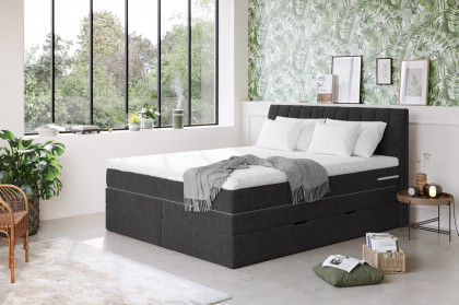 Shark von COTTA - Boxspringbett black