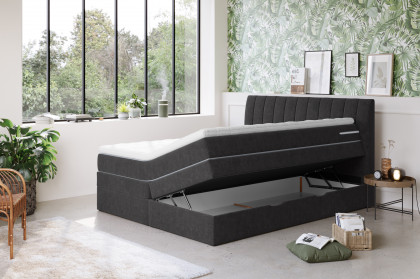 Shark von COTTA - Boxspringbett black