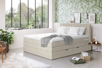 Shark von COTTA - Boxspringbett natural
