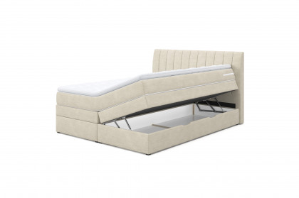Shark von COTTA - Boxspringbett natural