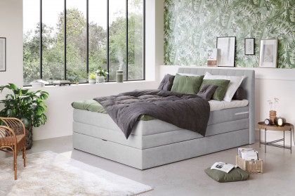 Shark von COTTA - Boxspringbett mouse