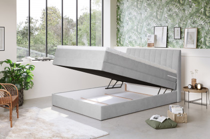 Shark von COTTA - Boxspringbett mouse