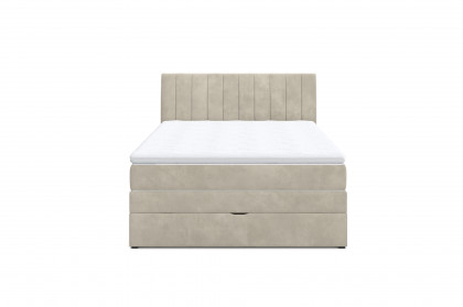Shark von COTTA - Boxspringbett elephant