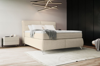 Treviso I von COTTA - Boxspringbett ivory