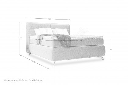 Treviso I von COTTA - Boxspringbett ivory
