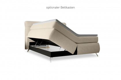Treviso I von COTTA - Boxspringbett ivory
