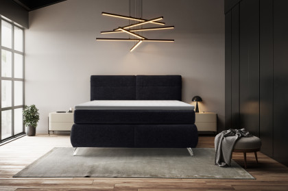 Treviso I von COTTA - Boxspringbett black