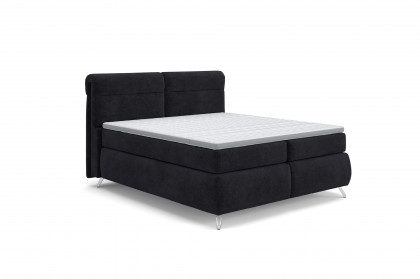 Treviso I von COTTA - Boxspringbett black