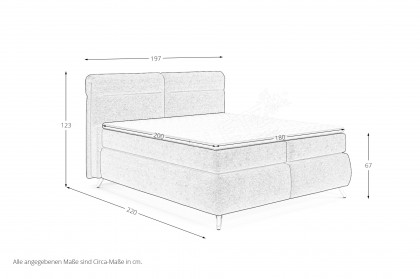 Treviso I von COTTA - Boxspringbett black